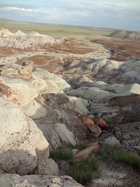 view from the Blue Mesa Overlook at the Petrified Forest